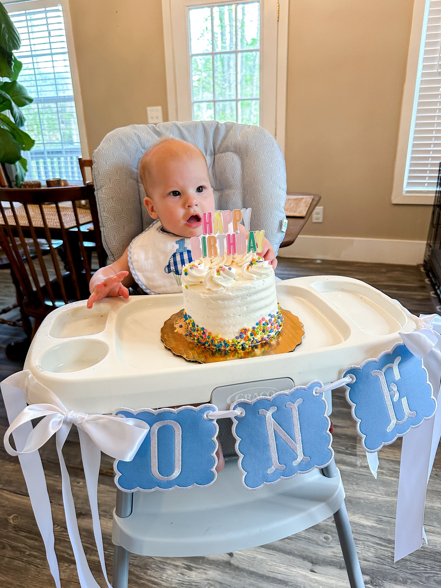 Solid Color Birthday Highchair Banner