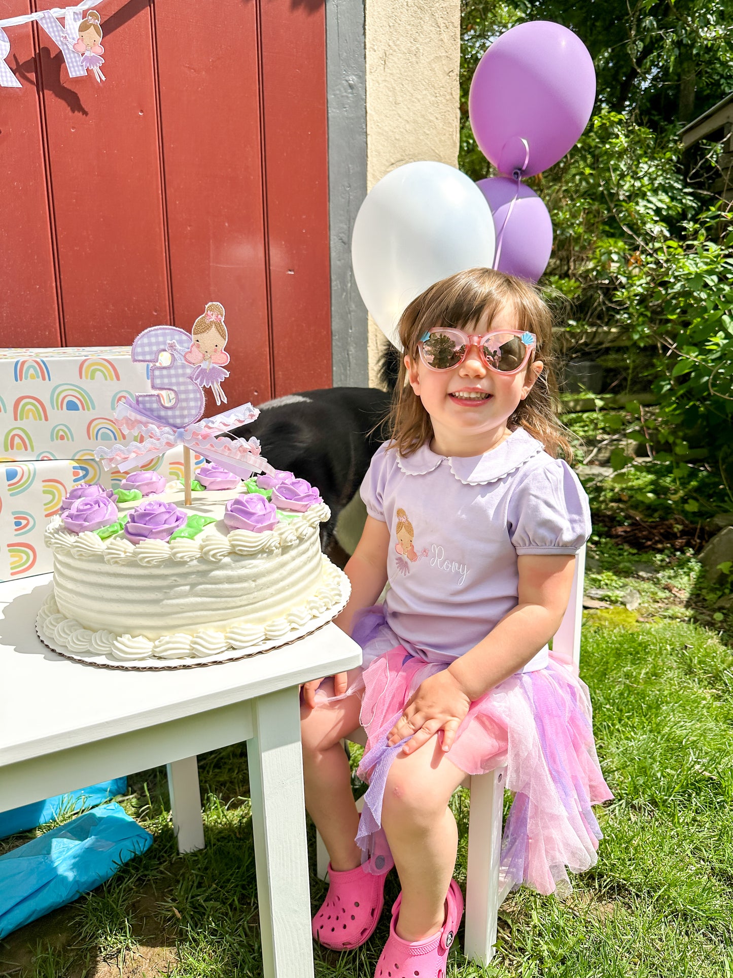 Fairy Birthday Party Theme